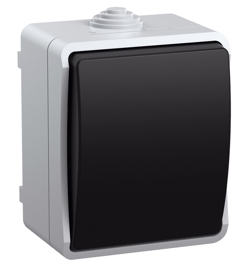 Изображение FORS Выключатель 1-клавишный проходной для открытой установки 10А IP54 ВС20-1-0-ФСр серый IEK