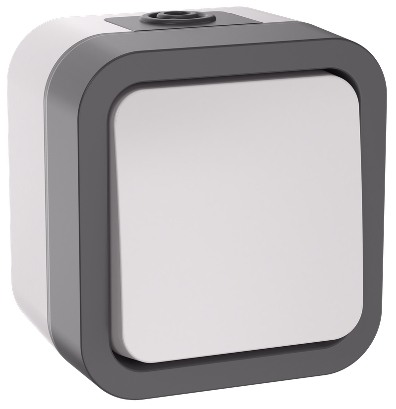 Изображение TORS Переключатель одноклавишный 10А IP55 TS201 серо-белый IEK