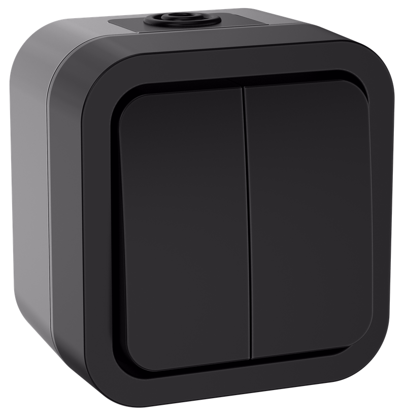 Изображение TORS Выключатель двухклавишный 10А IP55 TS105 графит IEK